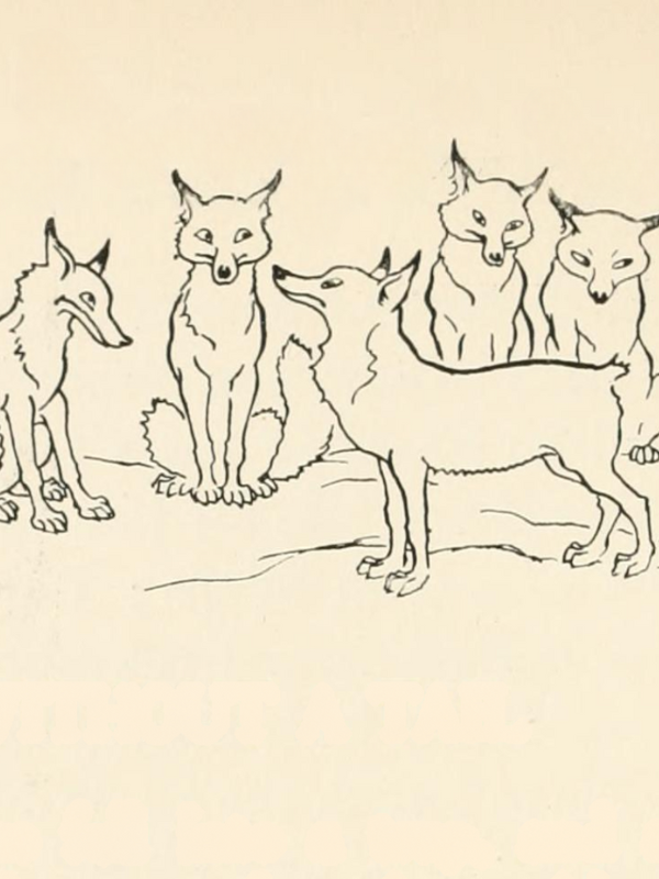 Aesop's Fables illustration