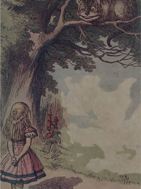 Alice's Adventures in Wonderland illustration
