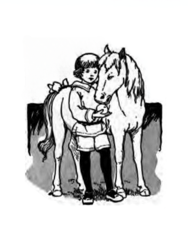 Dumpy, The Pony illustration