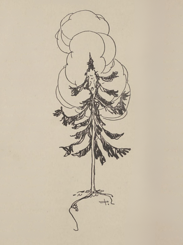 The Fir-Tree illustration