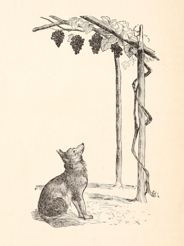 The Fox and the Grapes illustration