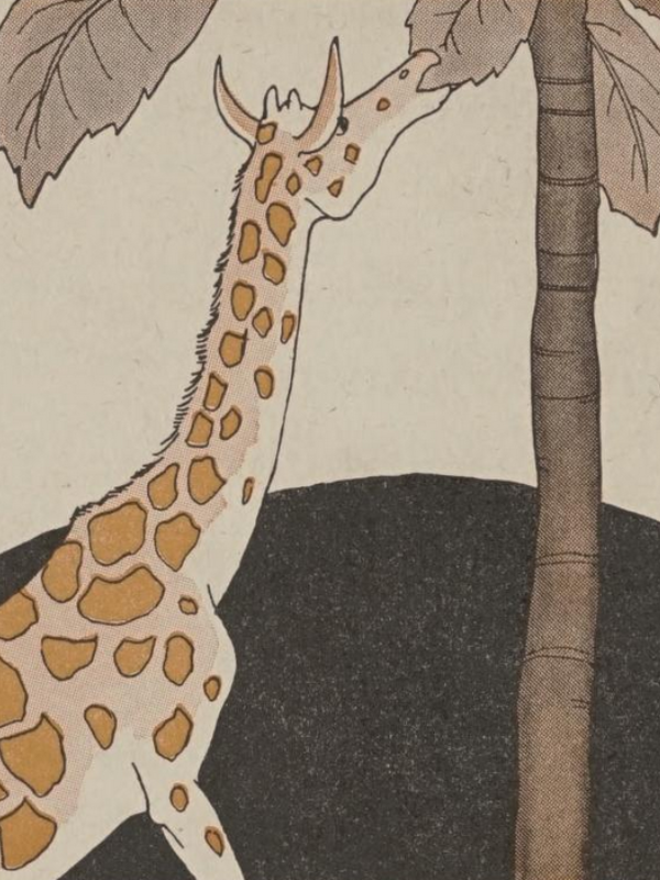The Giraffe and the Palms illustration