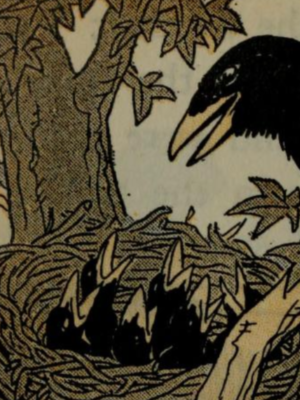 Illustration from In the Nursery of My Bookhouse