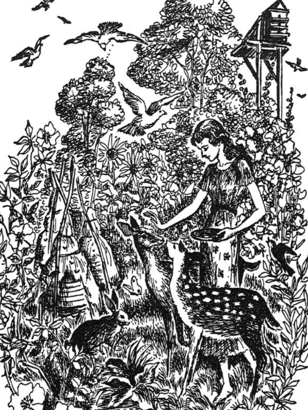 Illustration from Rhymes and Verses - Collected Poems for Young People