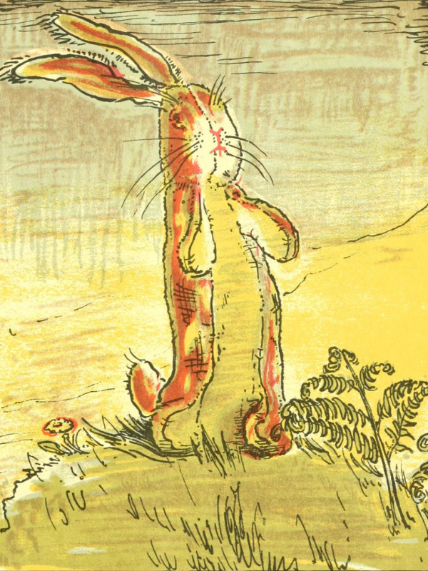 The Velveteen Rabbit illustration